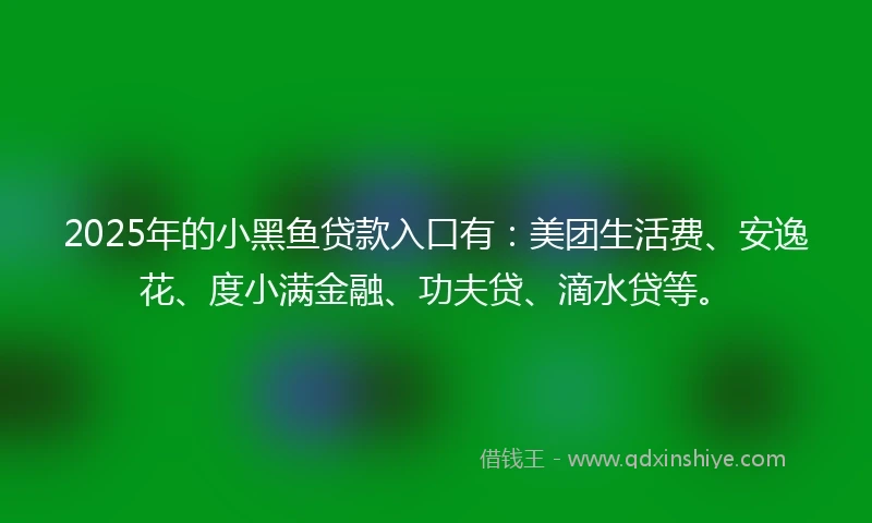 2025年的小黑鱼贷款入口有：美团生活费、安逸花、度小满金融、功夫贷、滴水贷等。