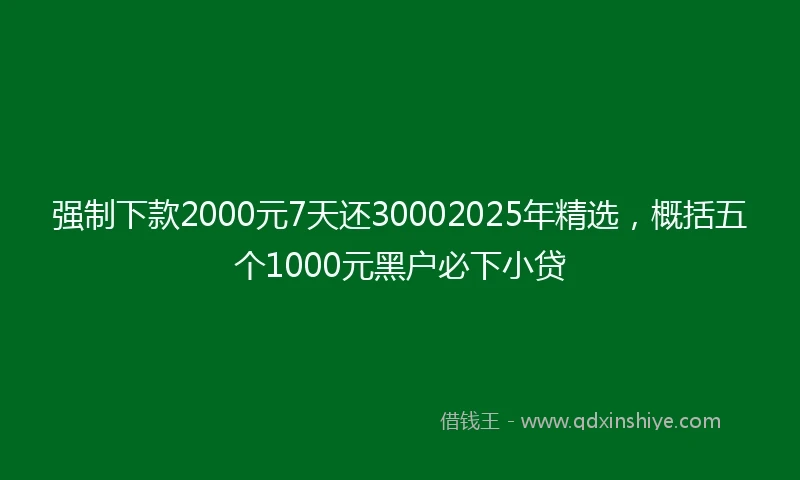 强制下款2000元7天还30002025年精选，概括五个1000元黑户必下小贷