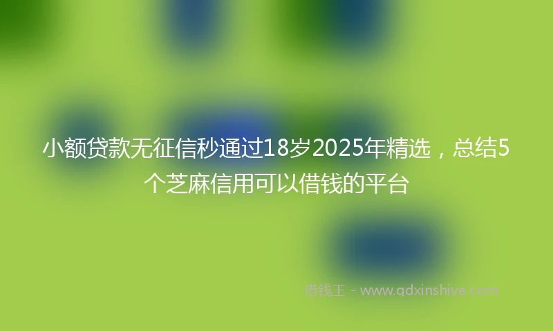小额贷款无征信秒通过18岁2025年精选，总结5个芝麻信用可以借钱的平台