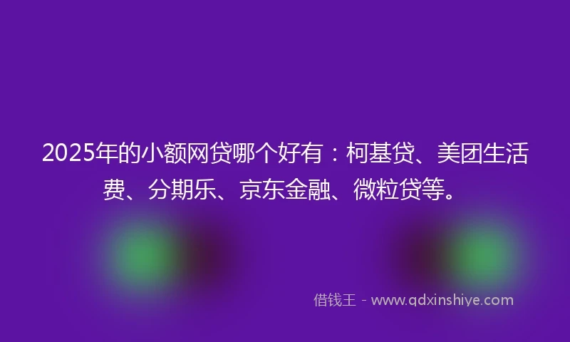 2025年的小额网贷哪个好有：柯基贷、美团生活费、分期乐、京东金融、微粒贷等。