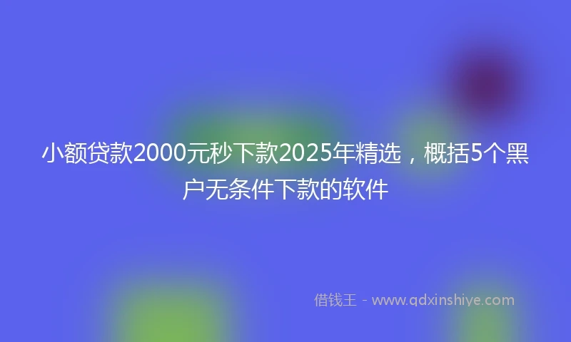 小额贷款2000元秒下款2025年精选，概括5个黑户无条件下款的软件