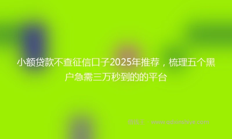 小额贷款不查征信口子2025年推荐，梳理五个黑户急需三万秒到的的平台