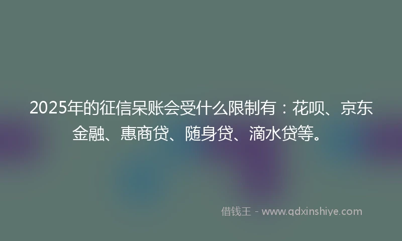2025年的征信呆账会受什么限制有：花呗、京东金融、惠商贷、随身贷、滴水贷等。