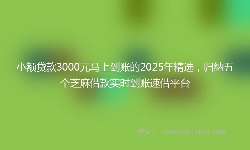小额贷款3000元马上到账的2025年精选，归纳五个芝麻借款实时到账速借平台