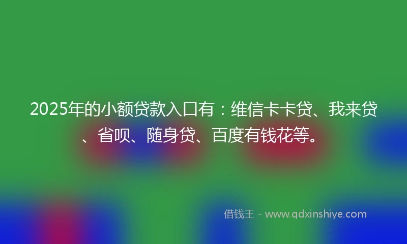 2025年的小额贷款入口有：维信卡卡贷、我来贷、省呗、随身贷、百度有钱花等。