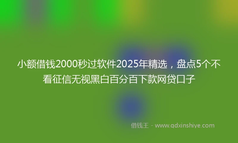 小额借钱2000秒过软件2025年精选，盘点5个不看征信无视黑白百分百下款网贷口子