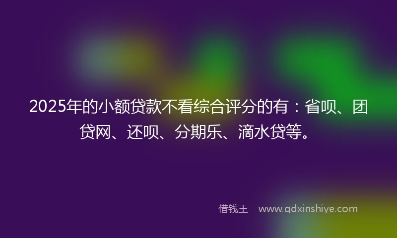 2025年的小额贷款不看综合评分的有：省呗、团贷网、还呗、分期乐、滴水贷等。