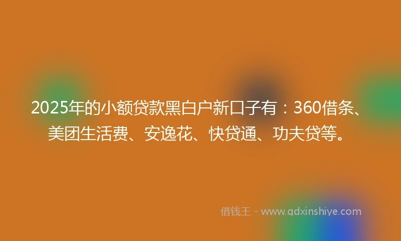 2025年的小额贷款黑白户新口子有：360借条、美团生活费、安逸花、快贷通、功夫贷等。