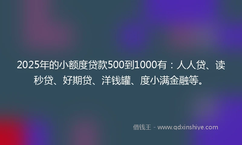 2025年的小额度贷款500到1000有：人人贷、读秒贷、好期贷、洋钱罐、度小满金融等。