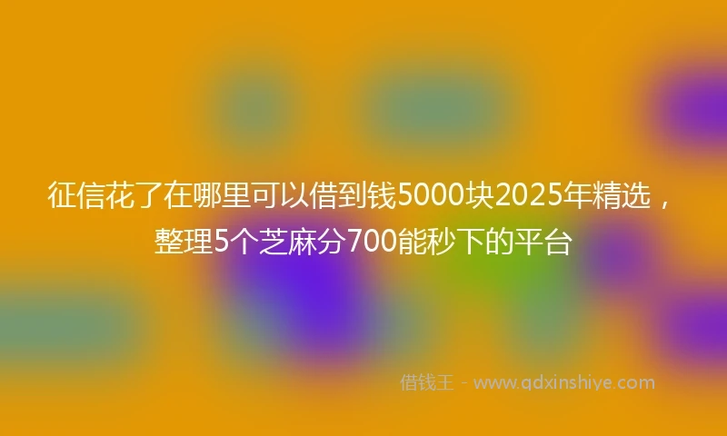 征信花了在哪里可以借到钱5000块2025年精选，整理5个芝麻分700能秒下的平台