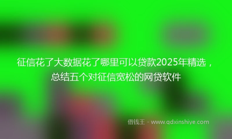 征信花了大数据花了哪里可以贷款2025年精选,总结五个对征信宽松的网贷软件