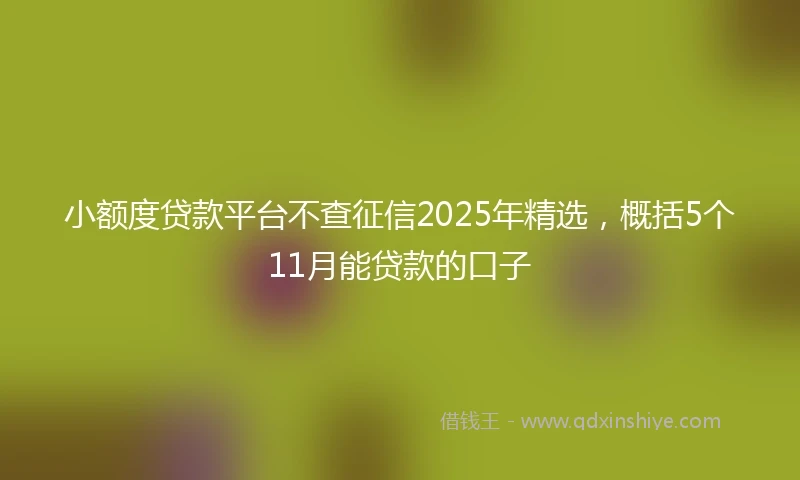 小额度贷款平台不查征信2025年精选，概括5个11月能贷款的口子
