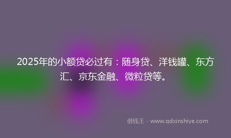 2025年的小额贷必过有：随身贷、洋钱罐、东方汇、京东金融、微粒贷等。