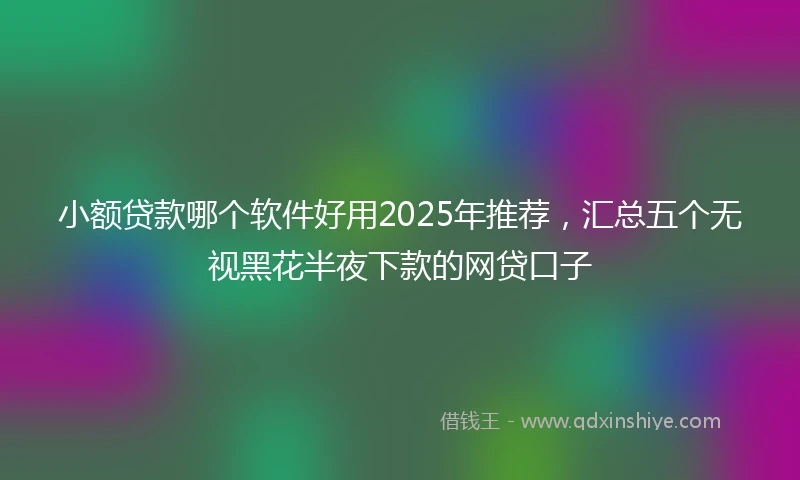 小额贷款哪个软件好用2025年推荐，汇总五个无视黑花半夜下款的网贷口子