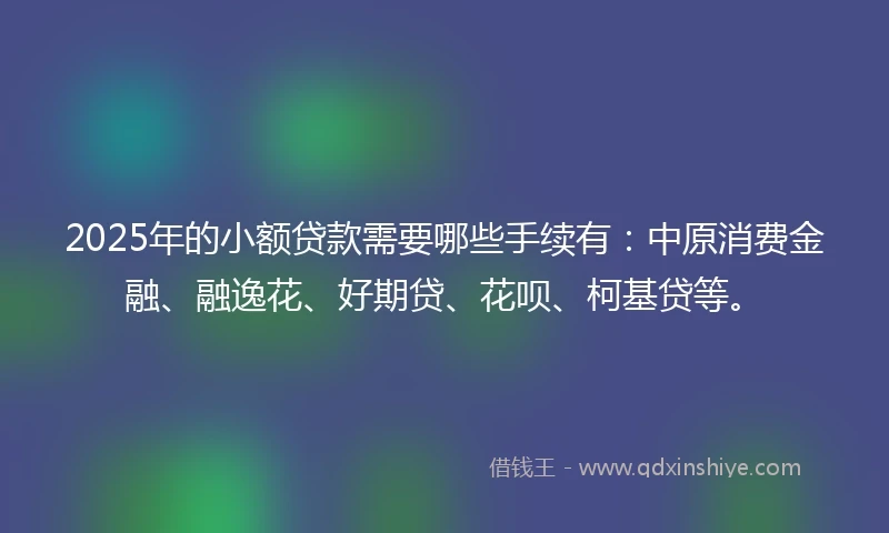 2025年的小额贷款需要哪些手续有：中原消费金融、融逸花、好期贷、花呗、柯基贷等。