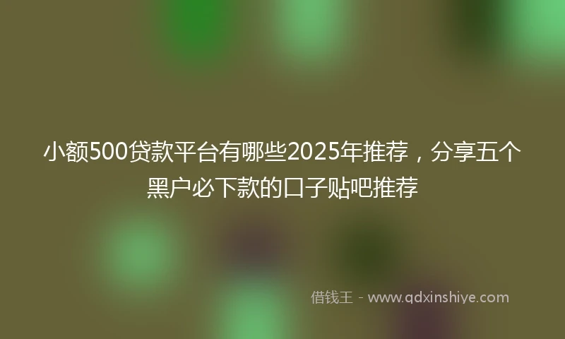 小额500贷款平台有哪些2025年推荐，分享五个黑户必下款的口子贴吧推荐