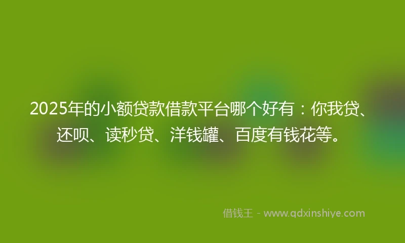 2025年的小额贷款借款平台哪个好有：你我贷、还呗、读秒贷、洋钱罐、百度有钱花等。