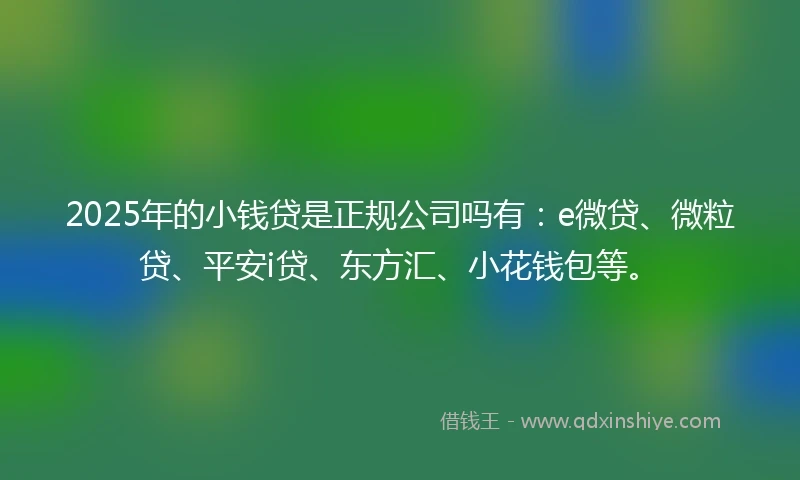 2025年的小钱贷是正规公司吗有：e微贷、微粒贷、平安i贷、东方汇、小花钱包等。