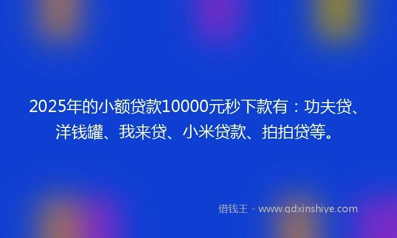 2025年的小额贷款10000元秒下款有：功夫贷、洋钱罐、我来贷、小米贷款、拍拍贷等。