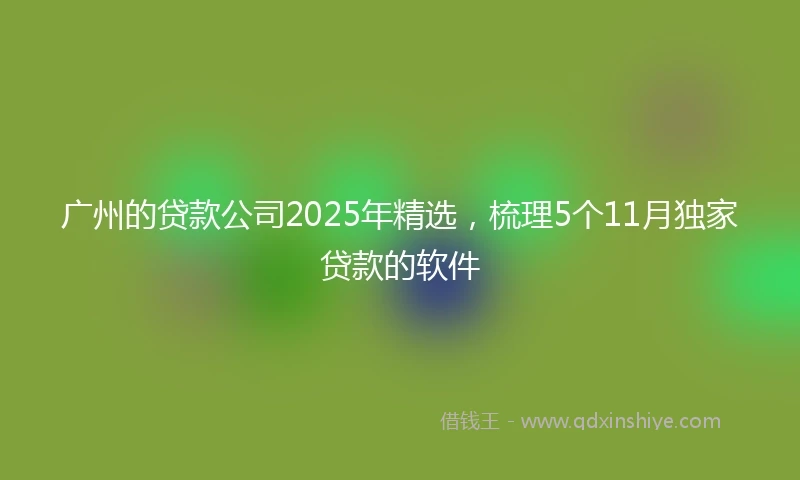 广州的贷款公司2025年精选，梳理5个11月独家贷款的软件