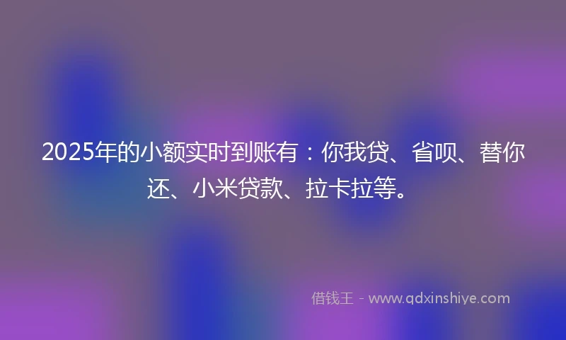 2025年的小额实时到账有：你我贷、省呗、替你还、小米贷款、拉卡拉等。