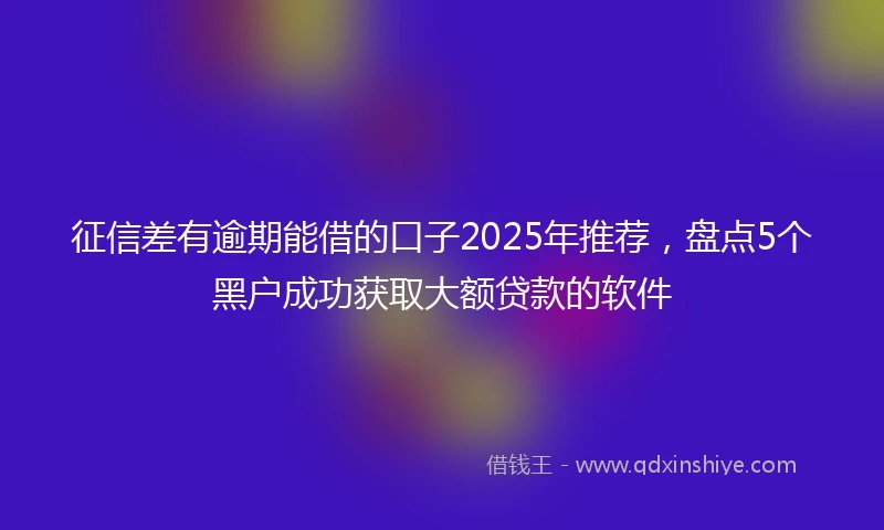 征信差有逾期能借的口子2025年推荐，盘点5个黑户成功获取大额贷款的软件