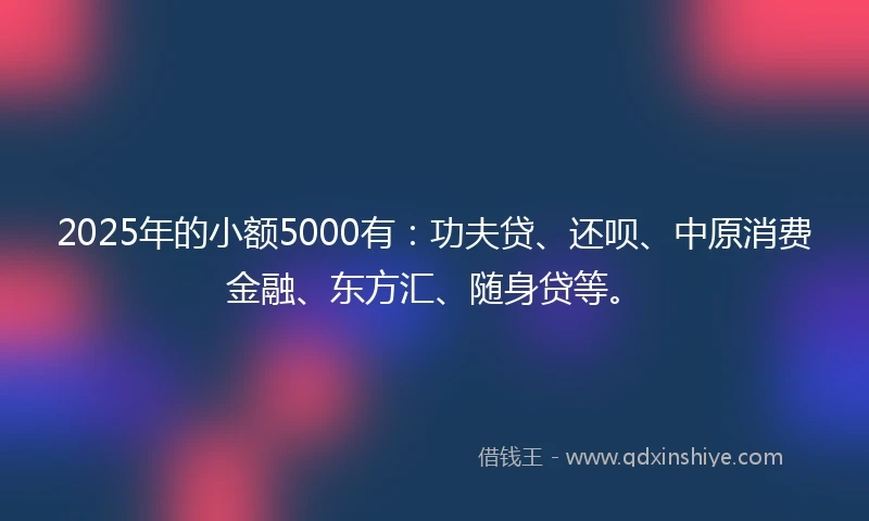 2025年的小额5000有：功夫贷、还呗、中原消费金融、东方汇、随身贷等。