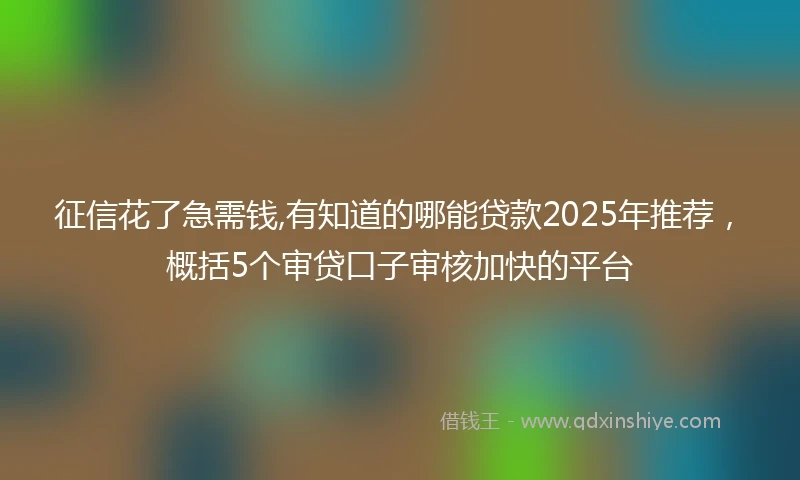 征信花了急需钱,有知道的哪能贷款2025年推荐，概括5个审贷口子审核加快的平台