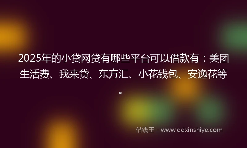 2025年的小贷网贷有哪些平台可以借款有：美团生活费、我来贷、东方汇、小花钱包、安逸花等。