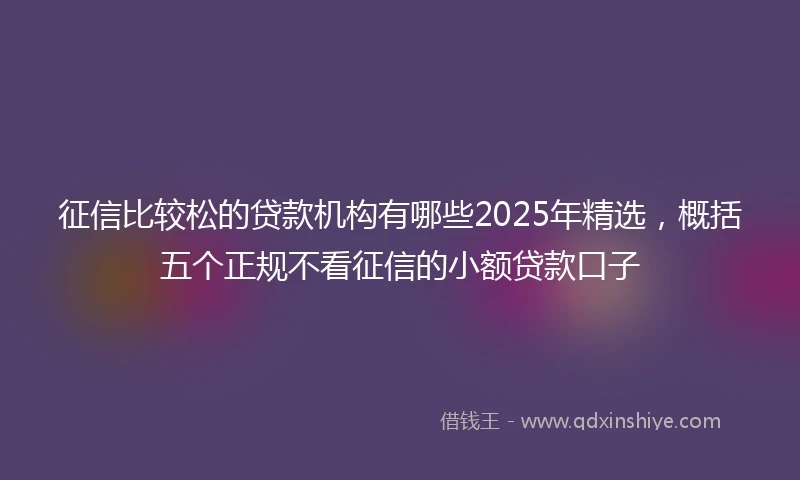 征信比较松的贷款机构有哪些2025年精选，概括五个正规不看征信的小额贷款口子