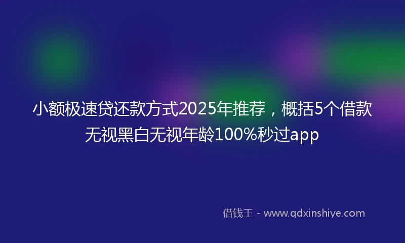 小额极速贷还款方式2025年推荐，概括5个借款无视黑白无视年龄100%秒过app