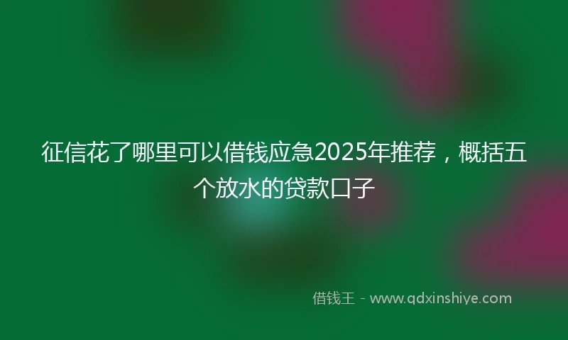 征信花了哪里可以借钱应急2025年推荐，概括五个放水的贷款口子