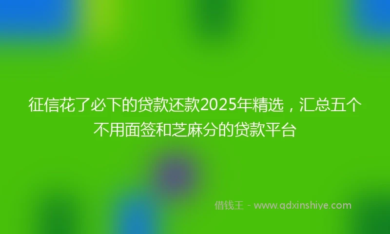征信花了必下的贷款还款2025年精选，汇总五个不用面签和芝麻分的贷款平台