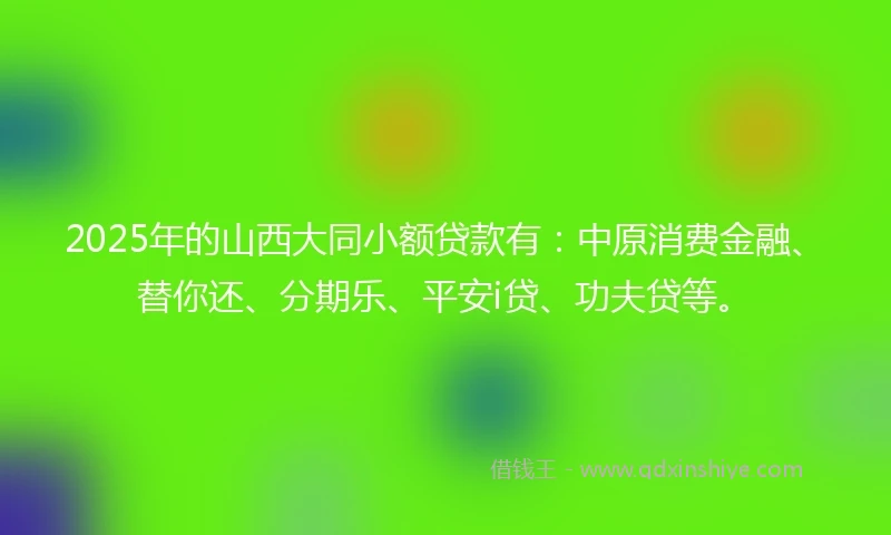 2025年的山西大同小额贷款有：中原消费金融、替你还、分期乐、平安i贷、功夫贷等。