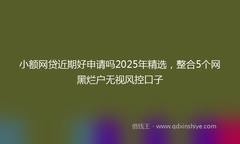 小额网贷近期好申请吗2025年精选，整合5个网黑烂户无视风控口子
