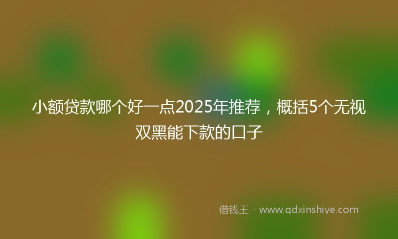 小额贷款哪个好一点2025年推荐，概括5个无视双黑能下款的口子