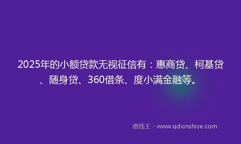 2025年的小额贷款无视征信有：惠商贷、柯基贷、随身贷、360借条、度小满金融等。