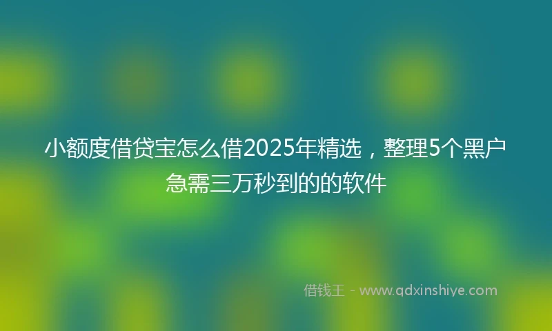 小额度借贷宝怎么借2025年精选，整理5个黑户急需三万秒到的的软件