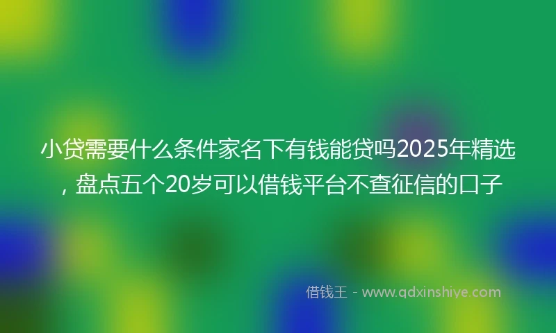 小贷需要什么条件家名下有钱能贷吗2025年精选，盘点五个20岁可以借钱平台不查征信的口子