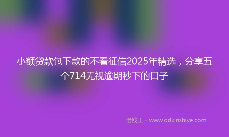 小额贷款包下款的不看征信2025年精选，分享五个714无视逾期秒下的口子