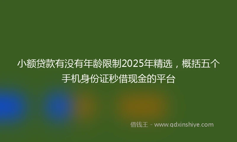 小额贷款有没有年龄限制2025年精选,概括五个手机身份证秒借现金的平台