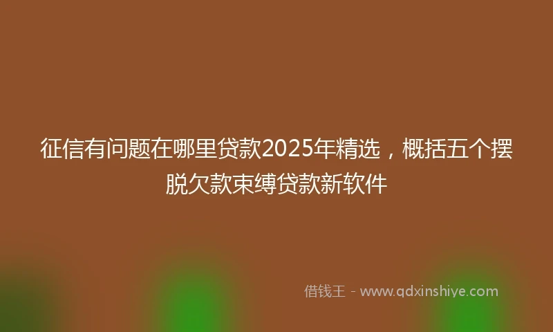 征信有问题在哪里贷款2025年精选，概括五个摆脱欠款束缚贷款新软件