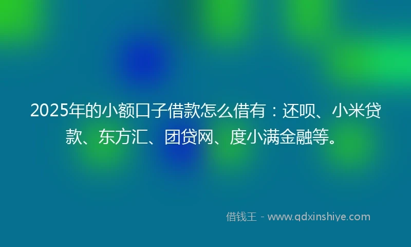 2025年的小额口子借款怎么借有：还呗、小米贷款、东方汇、团贷网、度小满金融等。