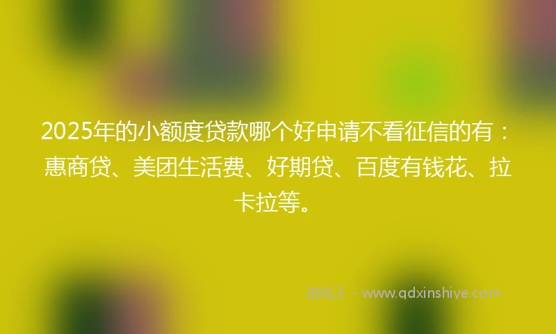 2025年的小额度贷款哪个好申请不看征信的有：惠商贷、美团生活费、好期贷、百度有钱花、拉卡拉等。