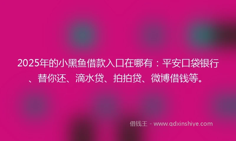 2025年的小黑鱼借款入口在哪有：平安口袋银行、替你还、滴水贷、拍拍贷、微博借钱等。