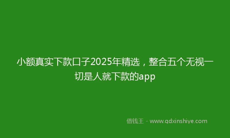 小额真实下款口子2025年精选，整合五个无视一切是人就下款的app