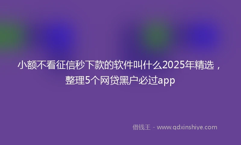 小额不看征信秒下款的软件叫什么2025年精选，整理5个网贷黑户必过app