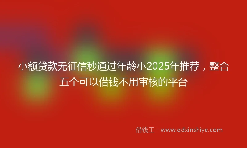 小额贷款无征信秒通过年龄小2025年推荐，整合五个可以借钱不用审核的平台
