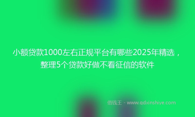 小额贷款1000左右正规平台有哪些2025年精选，整理5个贷款好做不看征信的软件