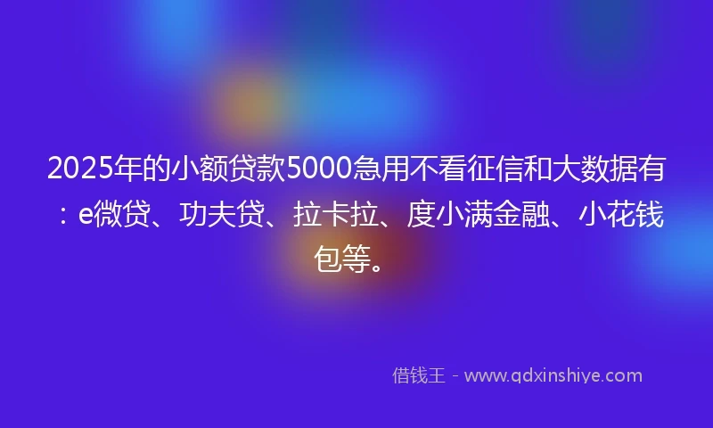 2025年的小额贷款5000急用不看征信和大数据有：e微贷、功夫贷、拉卡拉、度小满金融、小花钱包等。